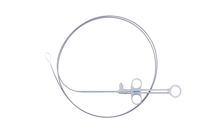 Endoscopy Cold Snare
