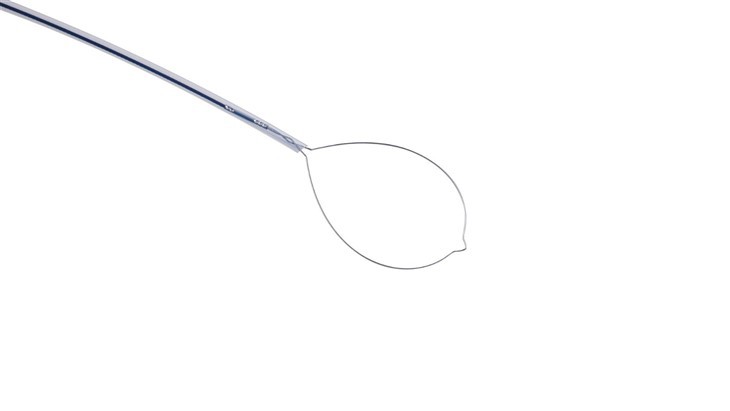 Endoscopy Cold Snare