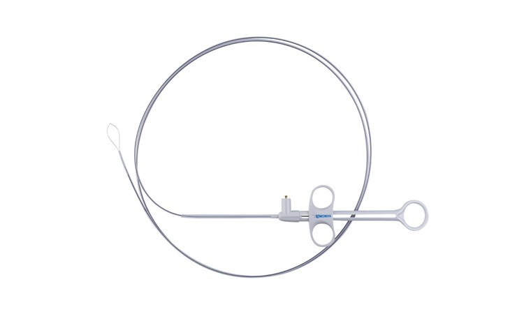 Endoscopy Cold Snare