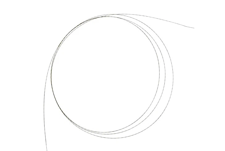 OEM ERCP Guidewire